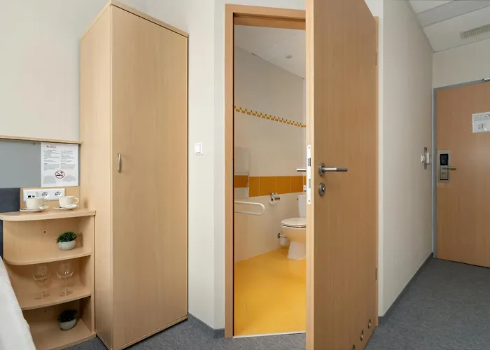 Functional With Ac Lechicka Very Berry By Renters