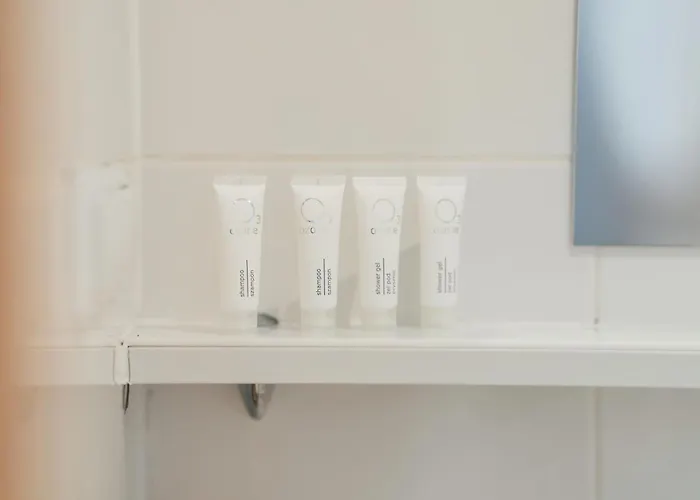 Functional With Ac Lechicka Very Berry By Renters Apartment *