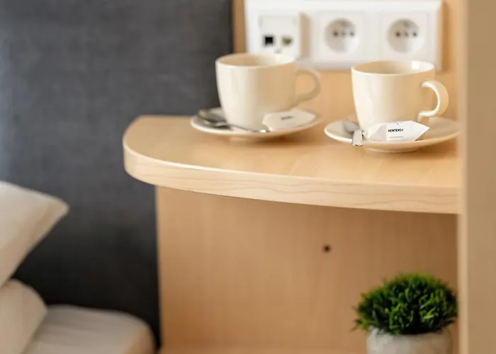 Functional With Ac Lechicka Very Berry By Renters Apartment